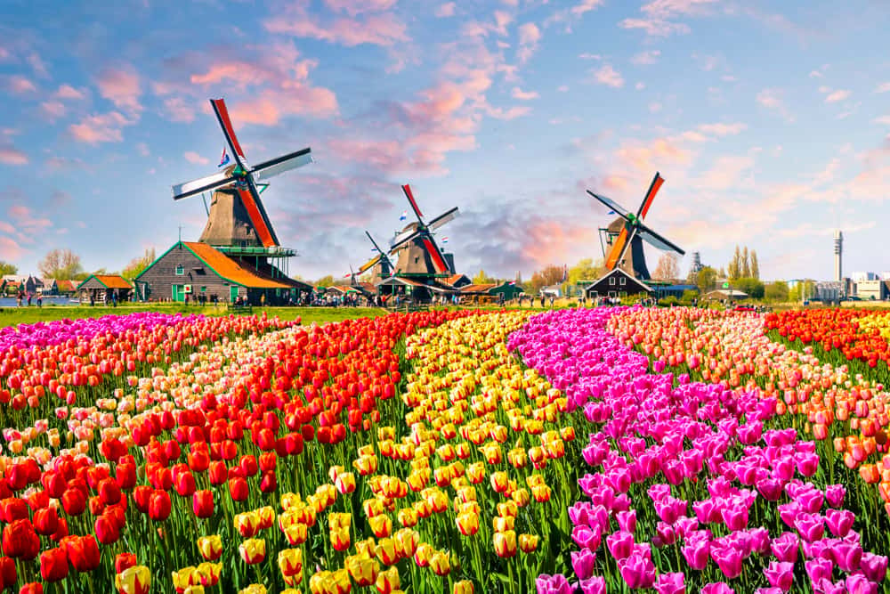 iStock 937057490 MOBILE HEADER