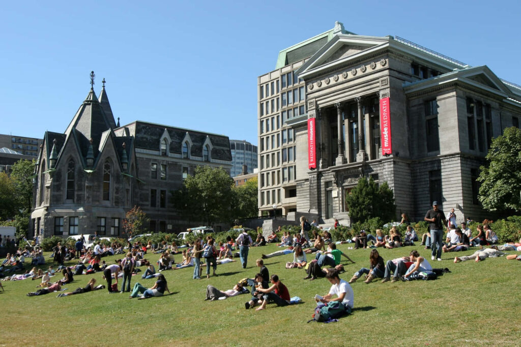 university background c8jsbz8xv8zydq87